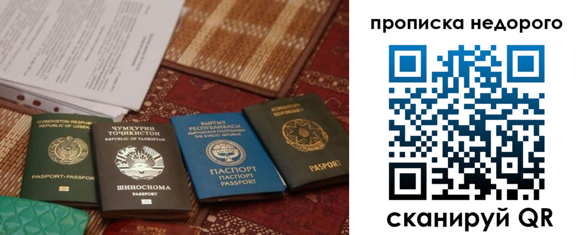 прописка в Видном
